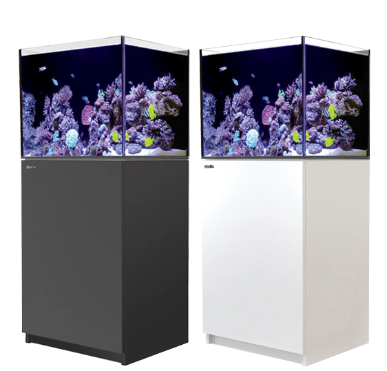 Red Sea Reefer 170 G3 with Ato+