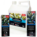 Red Sea Foundation B Alkalinity 1Ltr